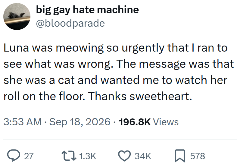 big gay hate machine @bloodparade Luna was meowing so urgently that I ran to see what was wrong. The message was that she was a cat and wanted me to watch her roll on the floor. Thanks sweetheart. 3:53 AM Sep 18, 2026 196.8K Views 27 1.3K 34K 578