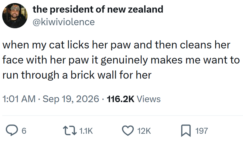 the president of new zealand @kiwiviolence when my cat licks her paw and then cleans her face with her paw it genuinely makes me want to run through a brick wall for her 1:01 AM Sep 19, 2026 116.2K Views 6 1.1K 12K ☐ ☐ 197