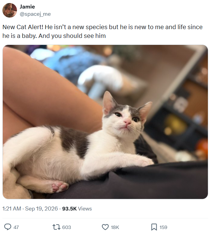 Jamie @spacej_me New Cat Alert! He isn't a new species but he is new to me and life since he is a baby. And you should see him 1:21 AM - Sep 19, 2026 - 93.5K Views 47 17603 18K ☐ 159