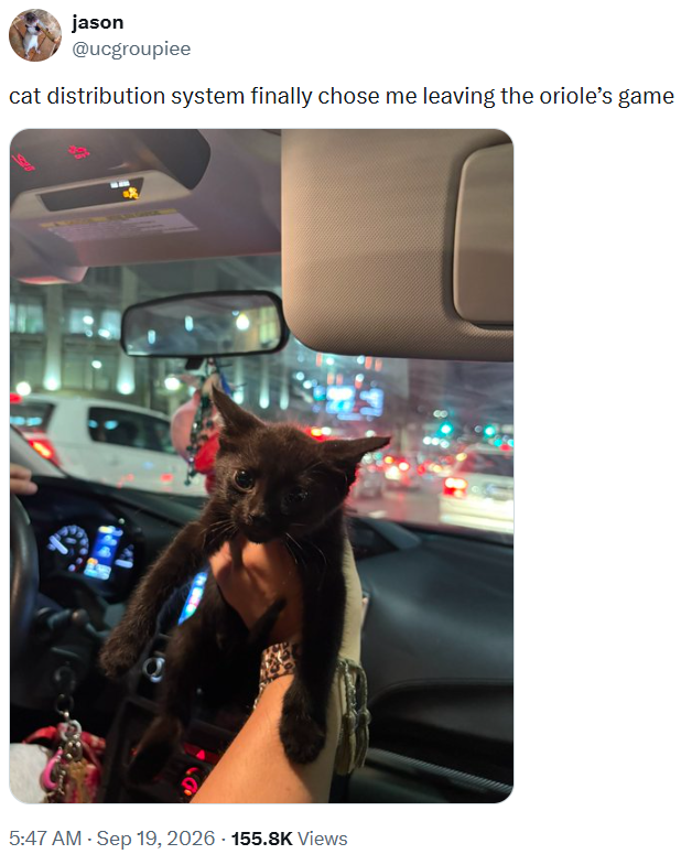 jason @ucgroupiee cat distribution system finally chose me leaving the oriole's game 5:47 AM - Sep 19, 2026 - 155.8K Views