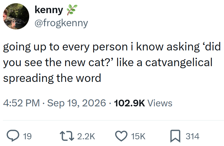 kenny @frogkenny going up to every person i know asking 'did you see the new cat?' like a catvangelical spreading the word 4:52 PM ⚫ Sep 19, 2026 102.9K Views • 19 12.2K 15K ☐ 314