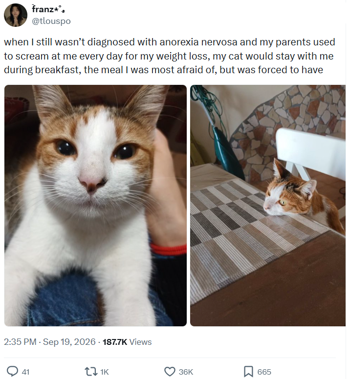 franz*°. @tlouspo when I still wasn't diagnosed with anorexia nervosa and my parents used to scream at me every day for my weight loss, my cat would stay with me during breakfast, the meal I was most afraid of, but was forced to have 2:35 PM - Sep 19, 2026-187.7K Views 41 11K 36K ☐ 665