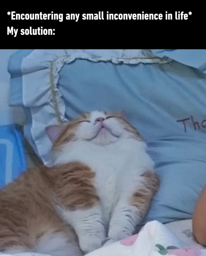 *Encountering any small inconvenience in life* My solution: The