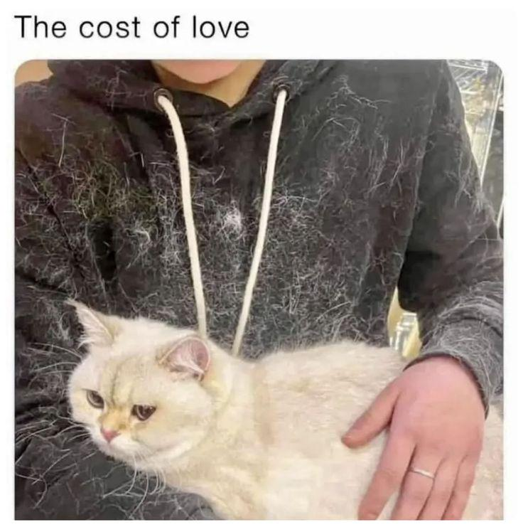 The cost of love