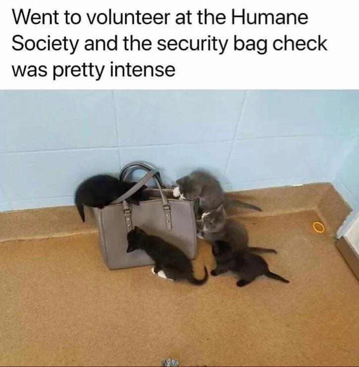 Went to volunteer at the Humane Society and the security bag check was pretty intense