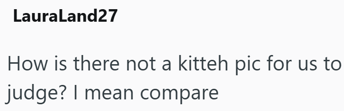 LauraLand27 How is there not a kitteh pic for us to judge? I mean compare
