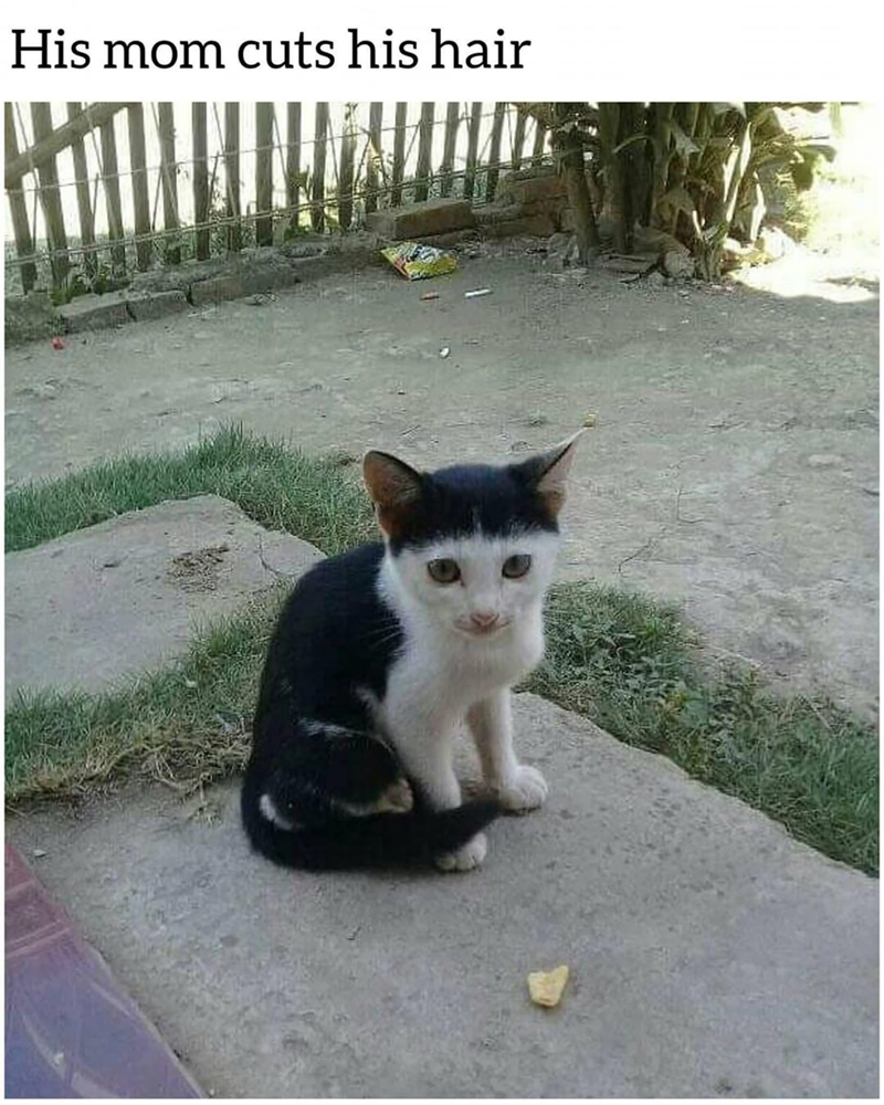 His mom cuts his hair