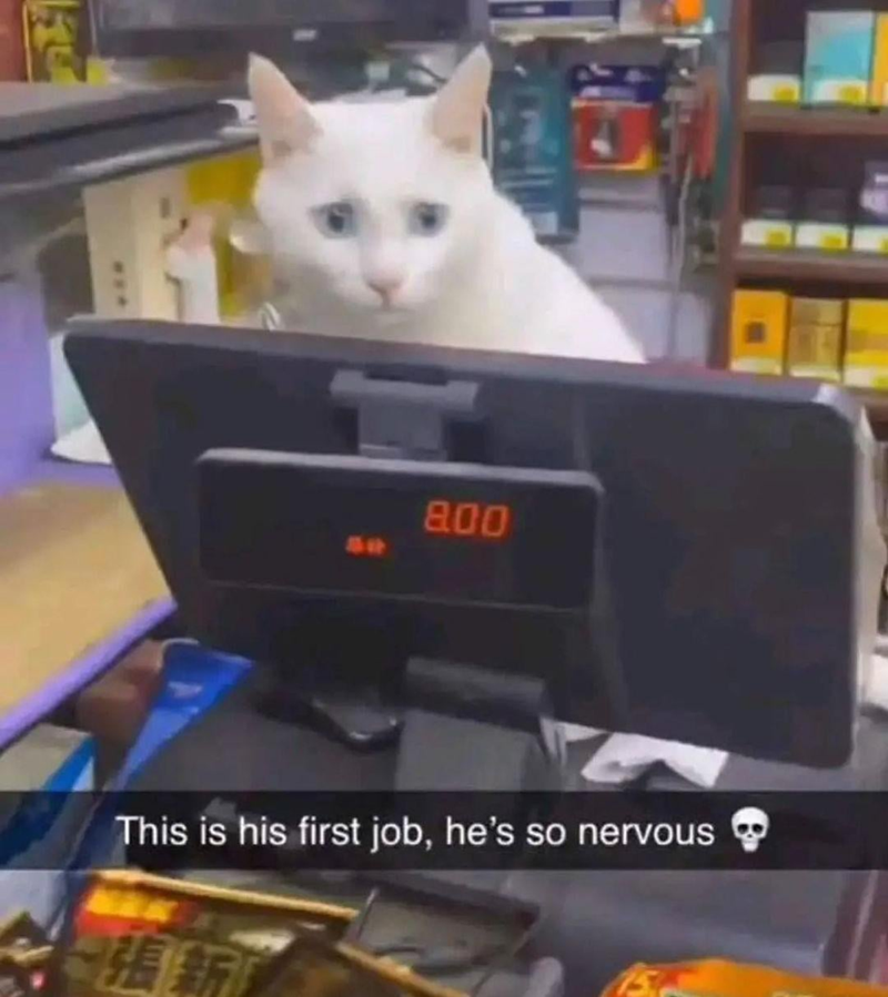 800 This is his first job, he's so nervous