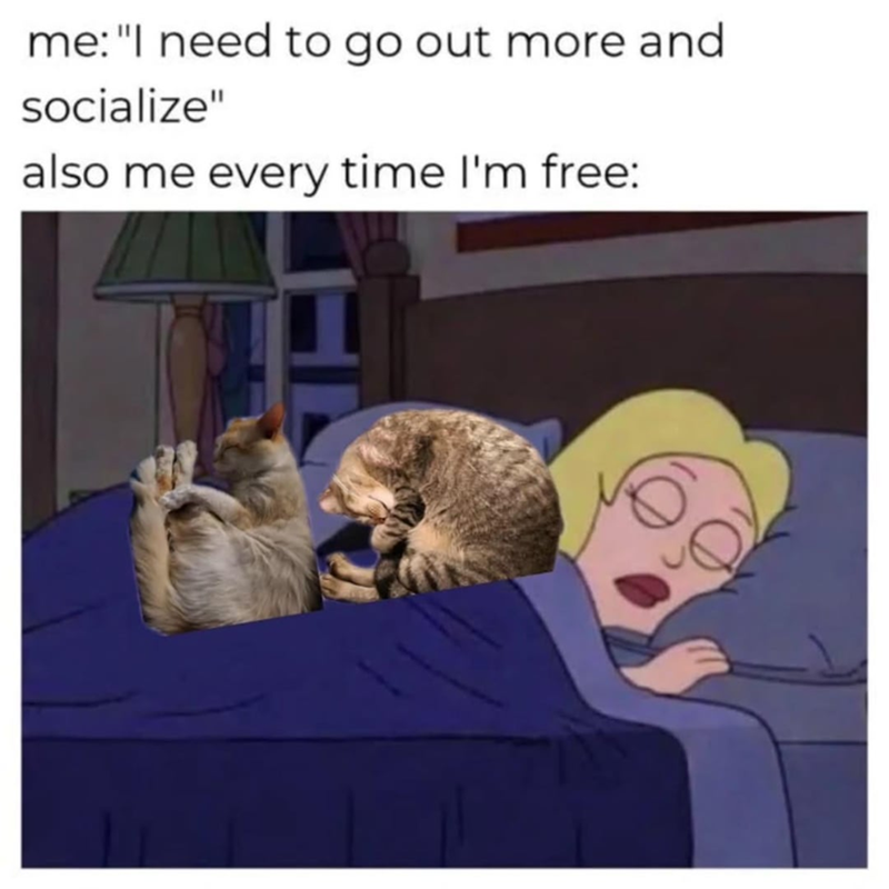 me: "I need to go out more and socialize" also me every time I'm free: