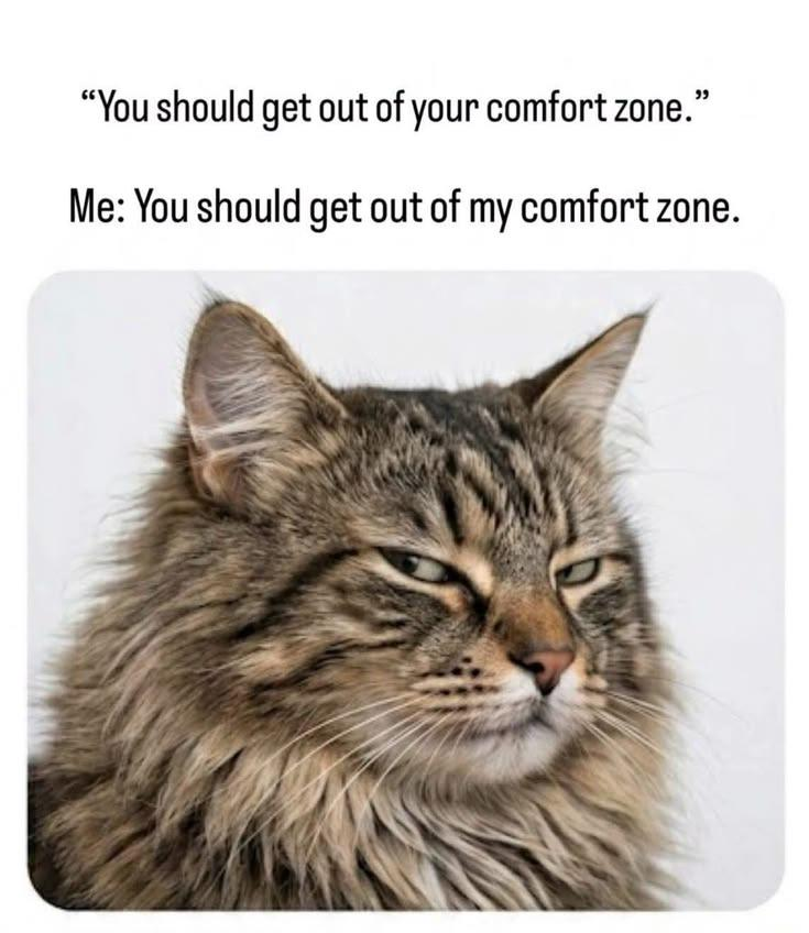 "You should get out of your comfort zone." Me: You should get out of my comfort zone.