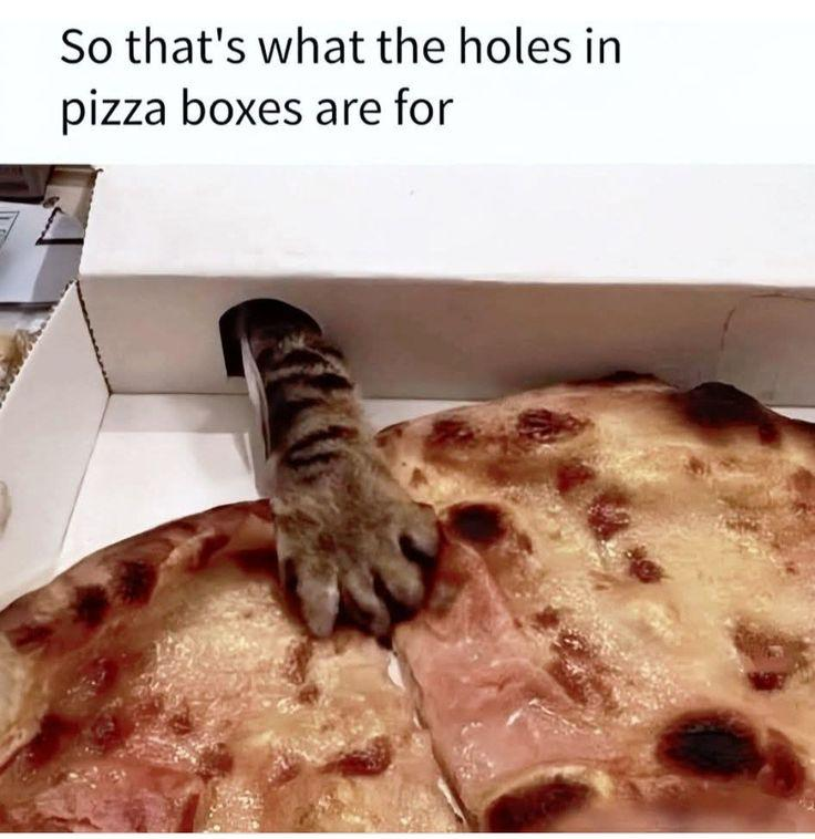 So that's what the holes in pizza boxes are for