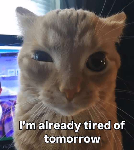 I'm already tired of tomorrow