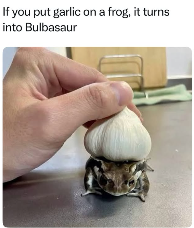 If you put garlic on a frog, it turns into Bulbasaur