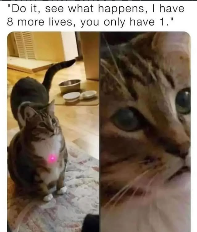 "Do it, see what happens, I have 8 more lives, you only have 1."