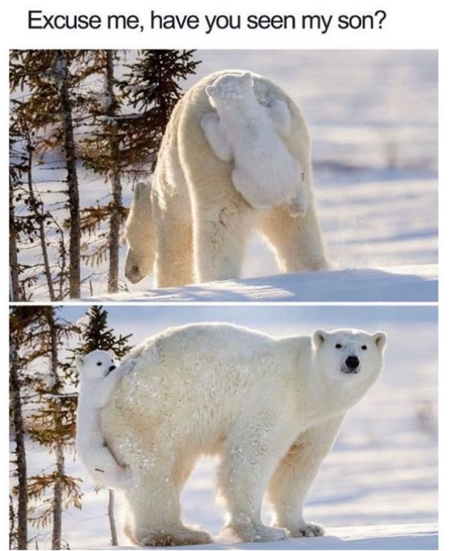 Excuse me, have you seen my son?