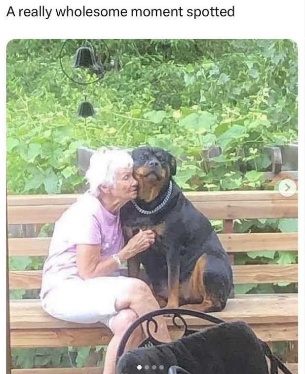 A really wholesome moment spotted