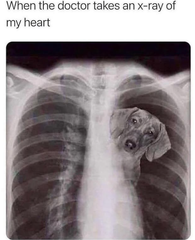 When the doctor takes an x-ray of my heart