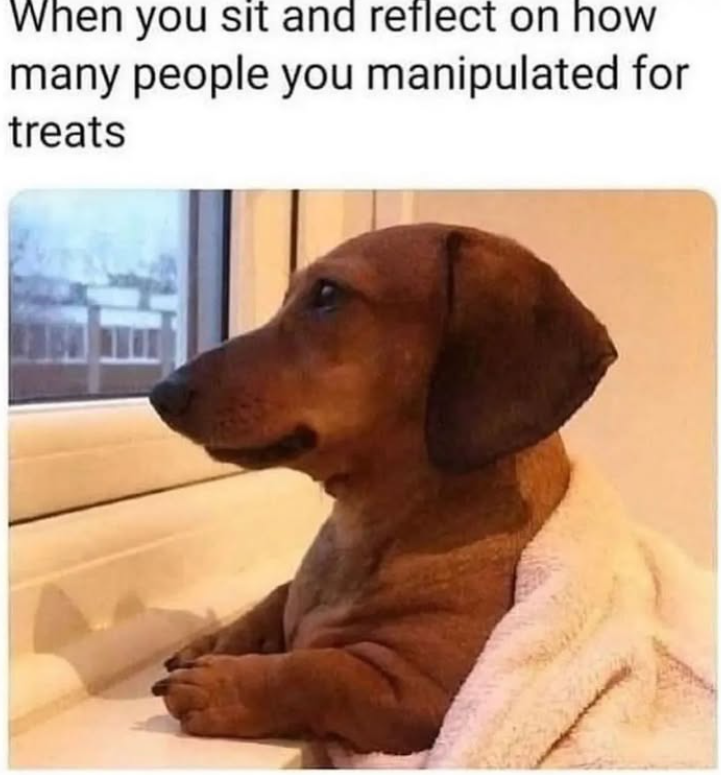 When you sit and reflect on how many people you manipulated for treats