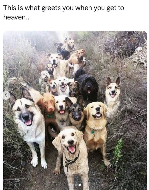 This is what greets you when you get to heaven...