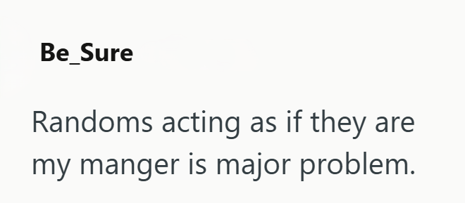 Be_Sure Randoms acting as if they are my manger is major problem.