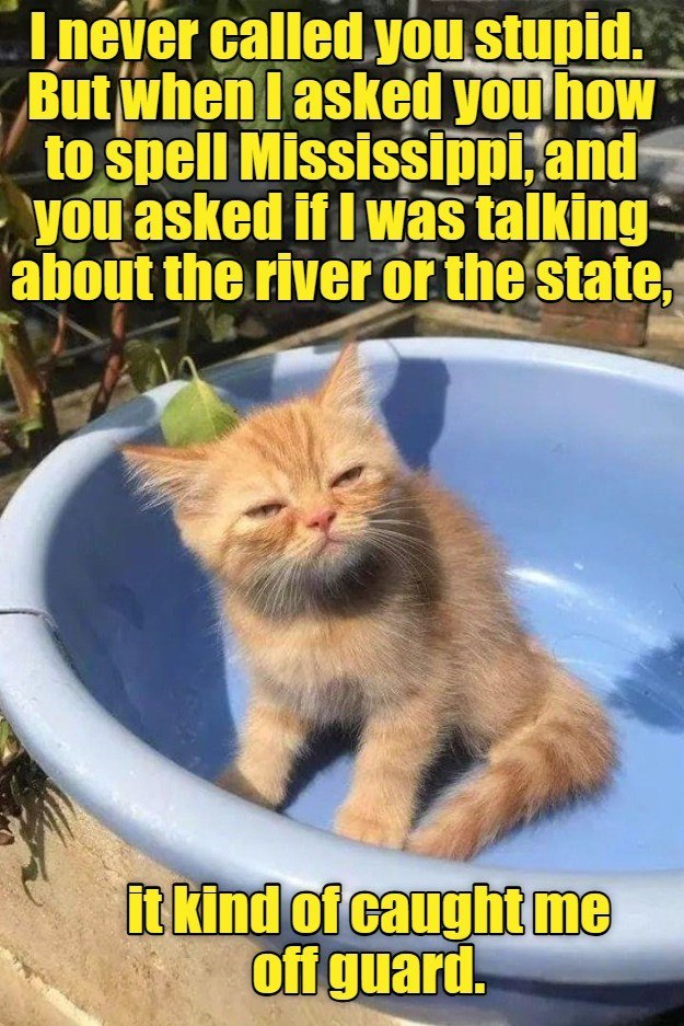 I never called you stupid. But when I asked you how to spell Mississippi, and you asked if I was talking about the river or the state, it kind of caught me off guard.