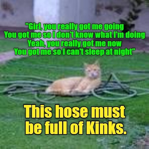 "Girl, you really got me going You got me so I don't know what I'm doing Yeah, you really got me now You got me so I can't sleep at night" This hose must be full of Kinks.