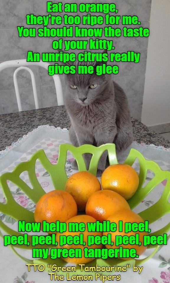Eat an orange, they're too ripe for me. You should know the taste of your kitty. An unripe citrus really gives me glee Now help me while I peel, peel, peel, peel, peel, peel, peel my green tangerine. TTO "Green Tambourine" by The Lemon Pipers
