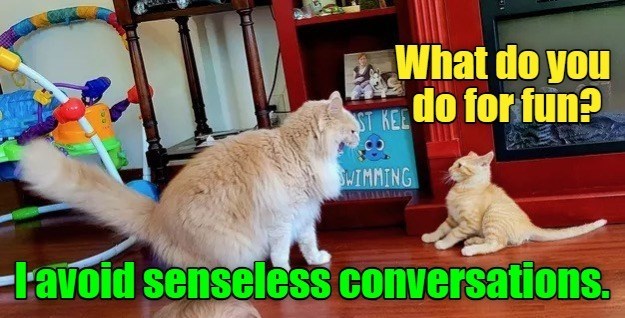 What do you do for fun? ST KEE SWIMMING l'avoid senseless conversations.