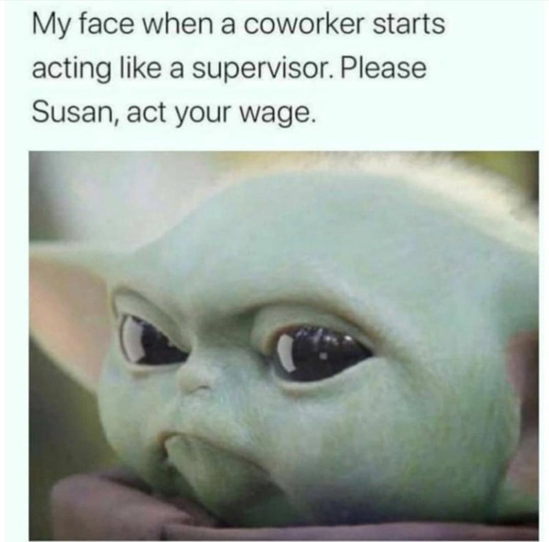 My face when a coworker starts acting like a supervisor. Please Susan, act your wage.