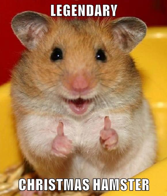 LEGENDARY CHRISTMAS HAMSTER