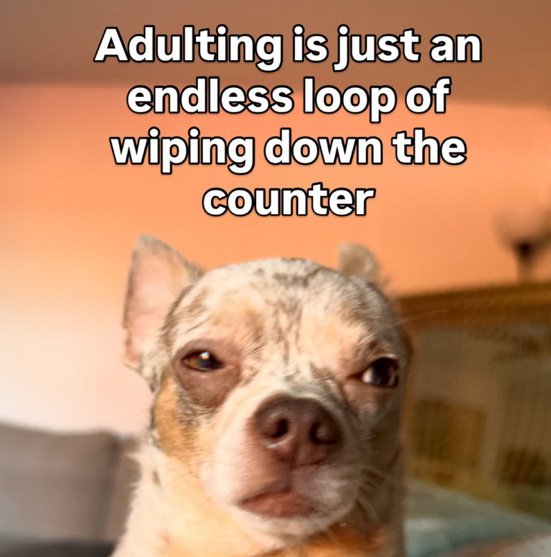 Adulting is just an endless loop of wiping down the counter