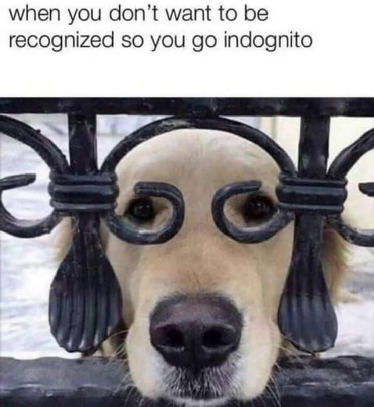 when you don't want to be recognized so you go indognito
