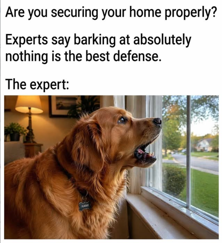 Are you securing your home properly? Experts say barking at absolutely nothing is the best defense. The expert: HANK