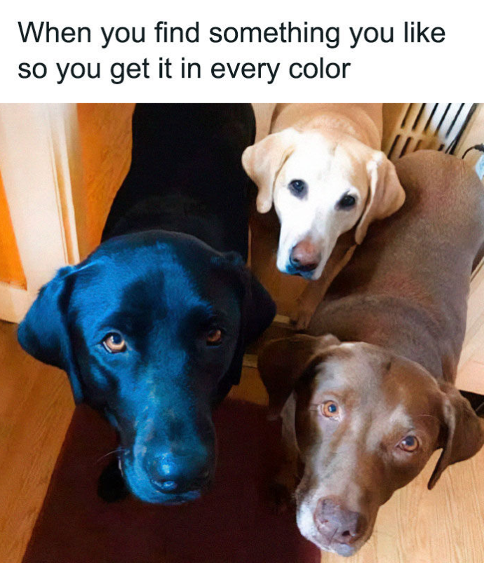 When you find something you like so you get it in every color