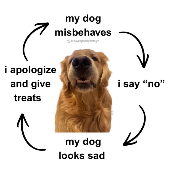 م my dog misbehaves @stellasgoldendays i apologize and give treats i say "no" my dog looks sad