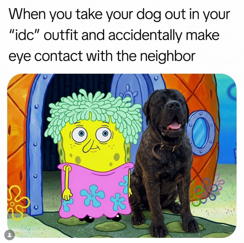 When you take your dog out in your "idc" outfit and accidentally make eye contact with the neighbor دیل