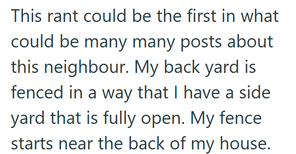 This rant could be the first in what could be many many posts about this neighbour. My back yard is fenced in a way that I have a side yard that is fully open. My fence starts near the back of my house.