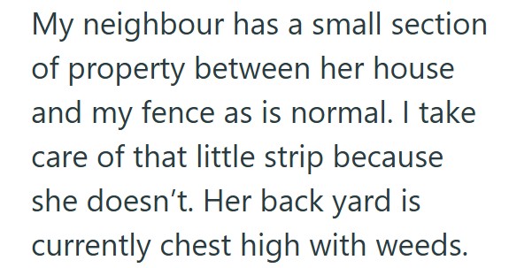 My neighbour has a small section of property between her house and my fence as is normal. I take care of that little strip because she doesn't. Her back yard is currently chest high with weeds.