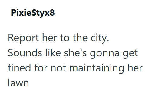 PixieStyx8 Report her to the city. Sounds like she's gonna get fined for not maintaining her lawn