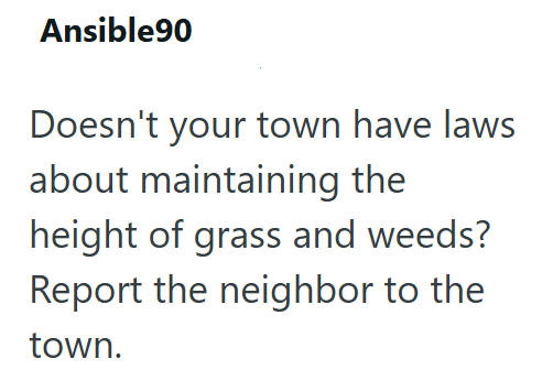 Ansible90 Doesn't your town have laws about maintaining the height of grass and weeds? Report the neighbor to the town.