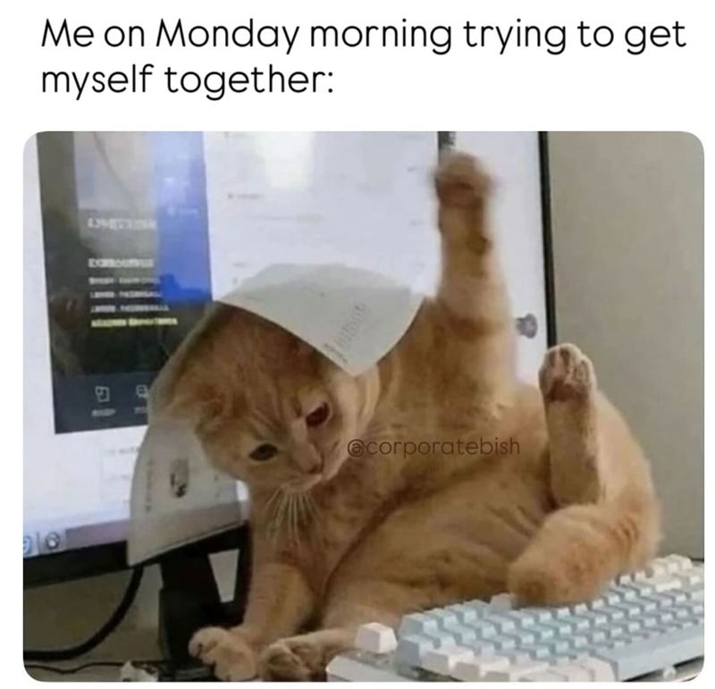 Me on Monday morning trying to get myself together: LIVETTING 6 01 @corporatebish