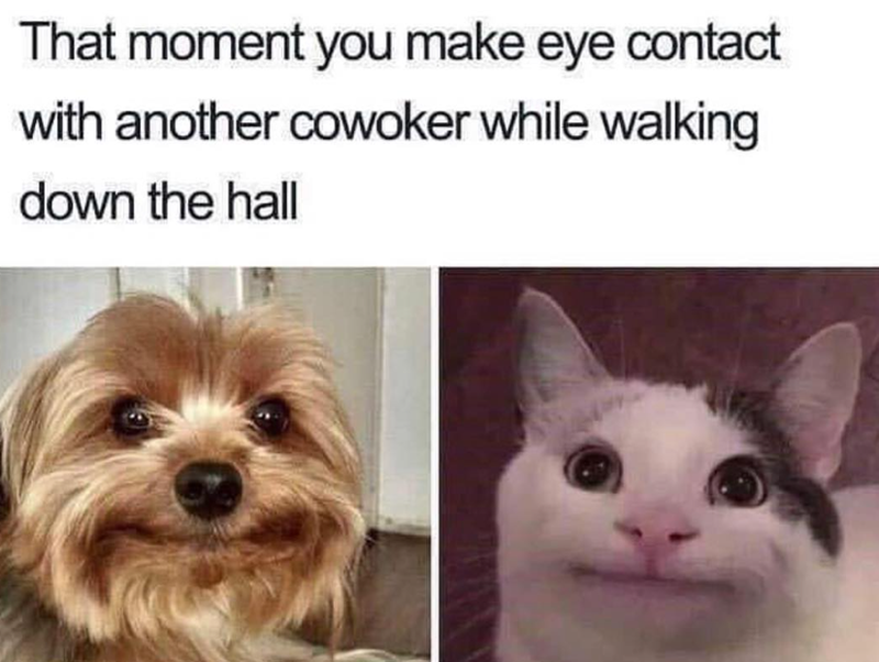 That moment you make eye contact with another cowoker while walking down the hall