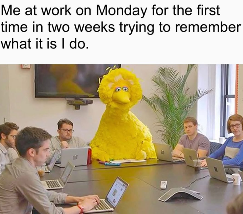 Me at work on Monday for the first time in two weeks trying to remember what it is I do. 14
