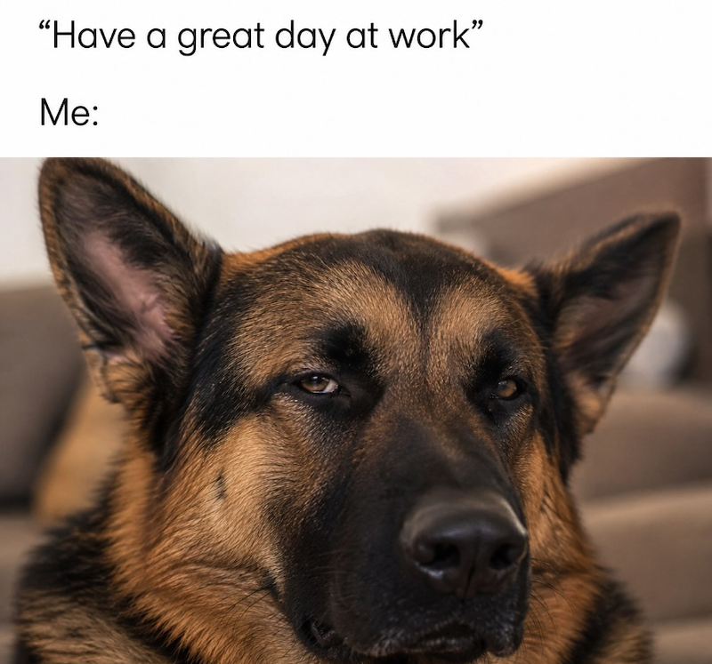 "Have a great day at work" Me: