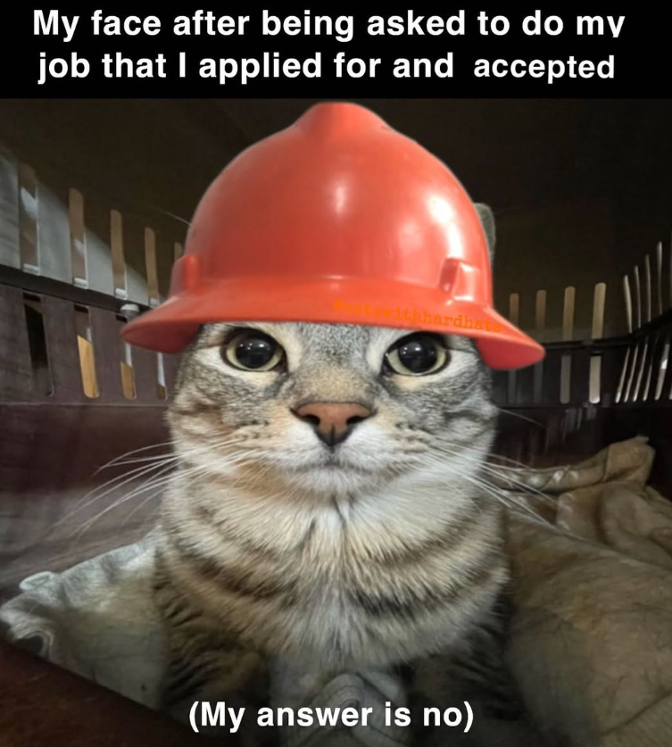 My face after being asked to do my job that I applied for and accepted ithhardhat (My answer is no)