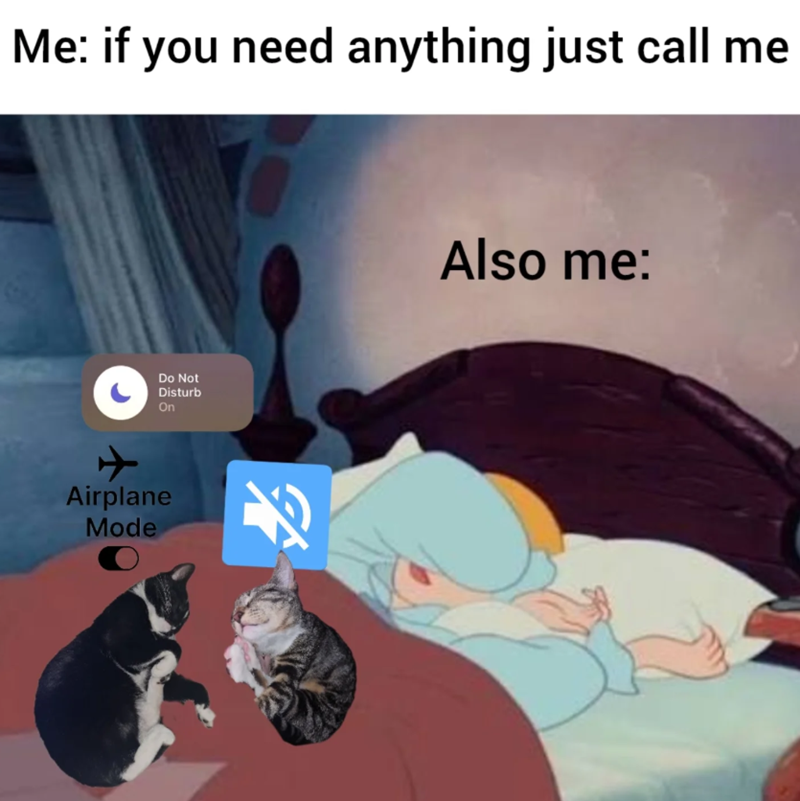 + Me: if you need anything just call me Airplane Mode Do Not Disturb On 老 Also me: