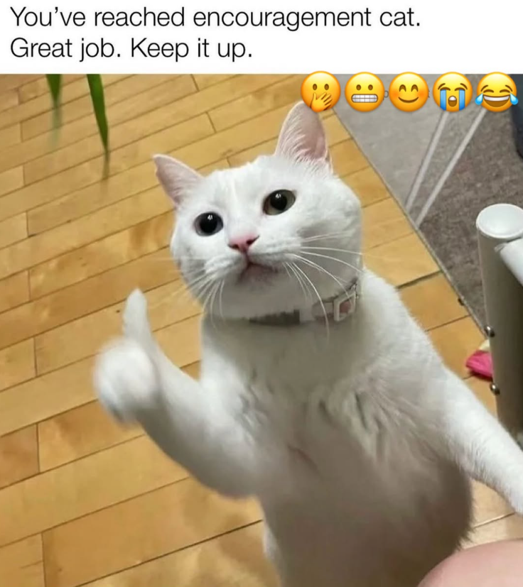You've reached encouragement cat. Great job. Keep it up.