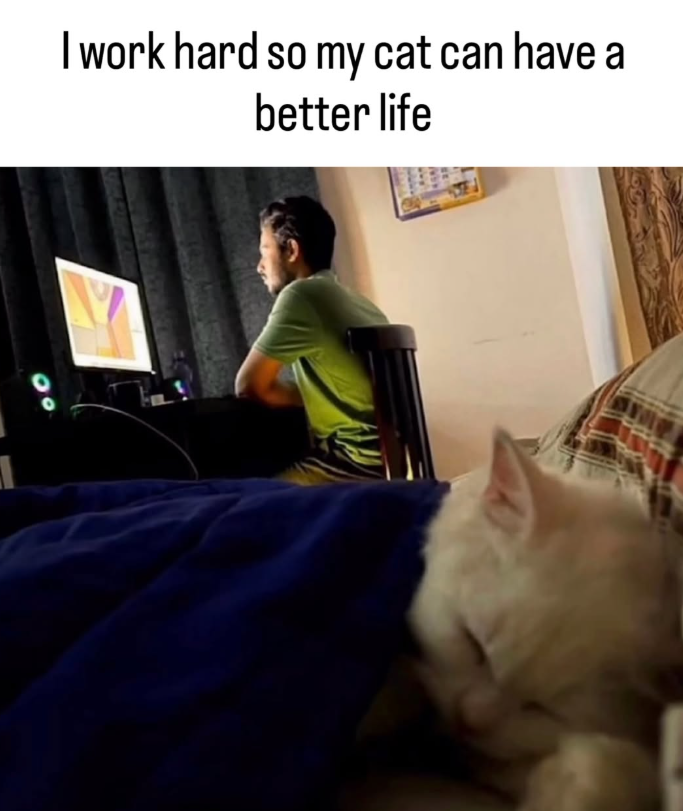 I work hard so my cat can have a better life