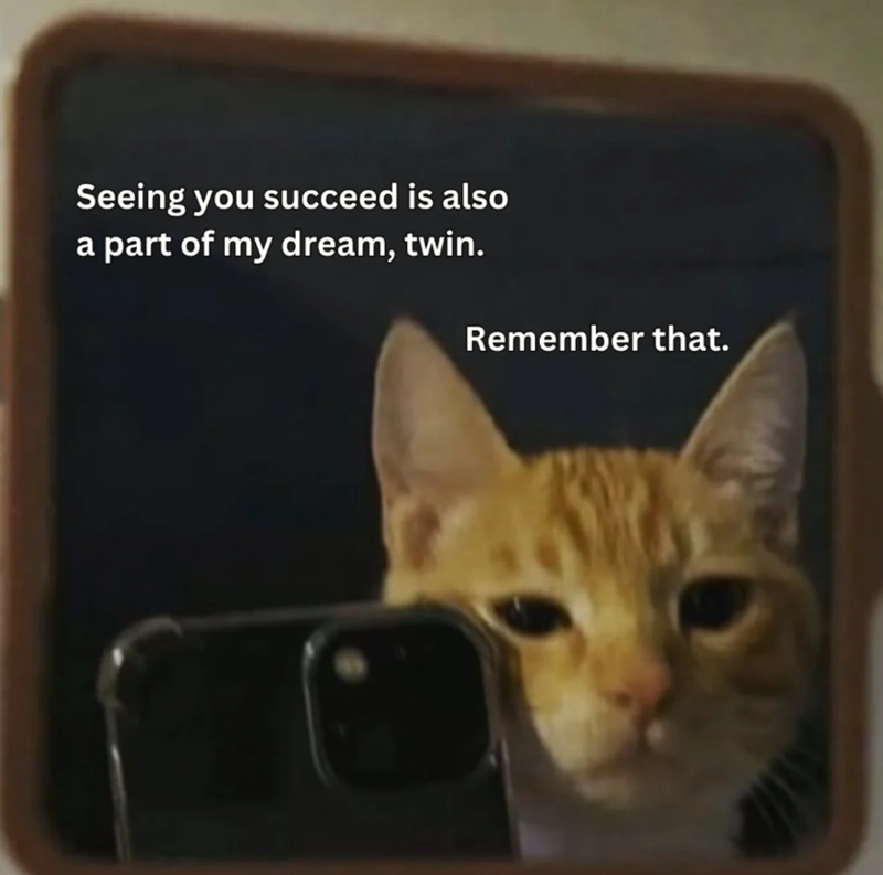 Seeing you succeed is also a part of my dream, twin. Remember that.