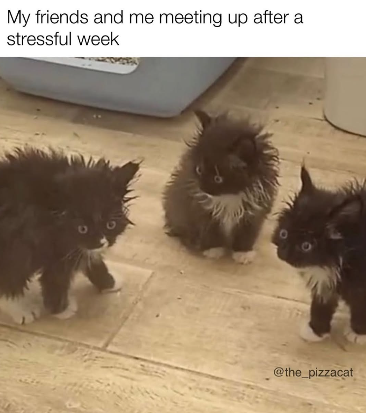 My friends and me meeting up after a stressful week @the_pizzacat